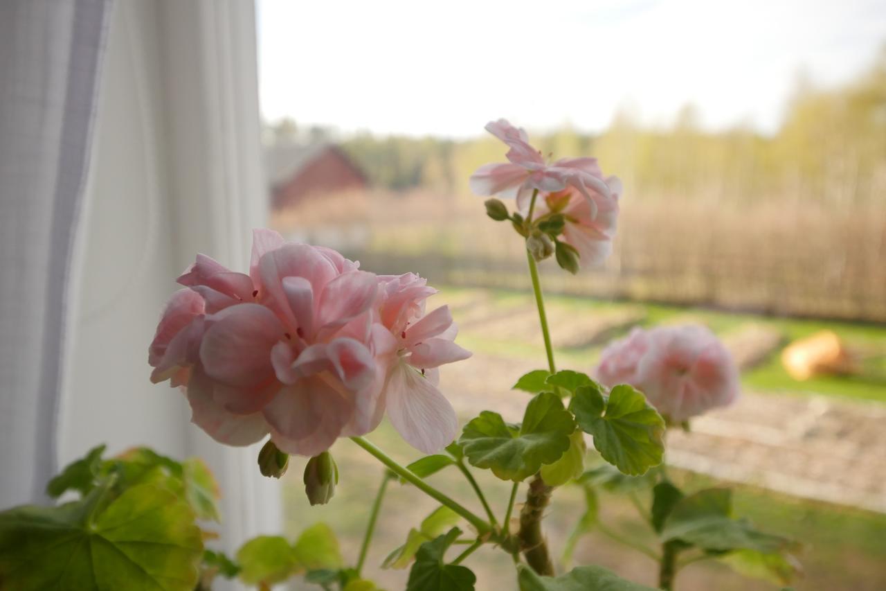 Groena Anaes Bed & Breakfast ostra Loa Dış mekan fotoğraf
